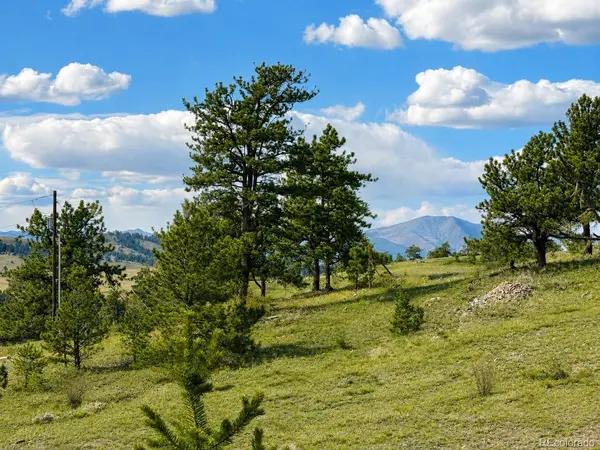 115 Black Canyon CT, Hartsel, CO 80449