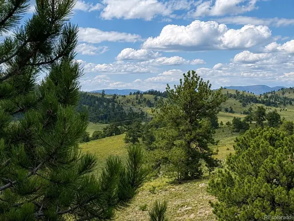 115 Black Canyon CT, Hartsel, CO 80449