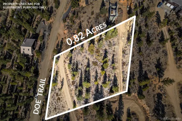 58 Doe TRL, Nederland, CO 80466