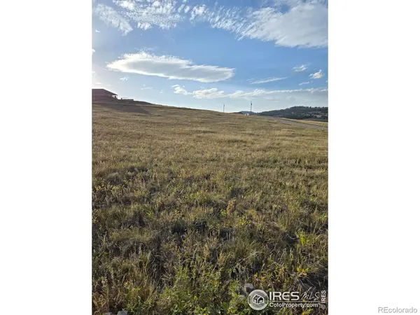 443 Meadow Mountain DR, Livermore, CO 80536