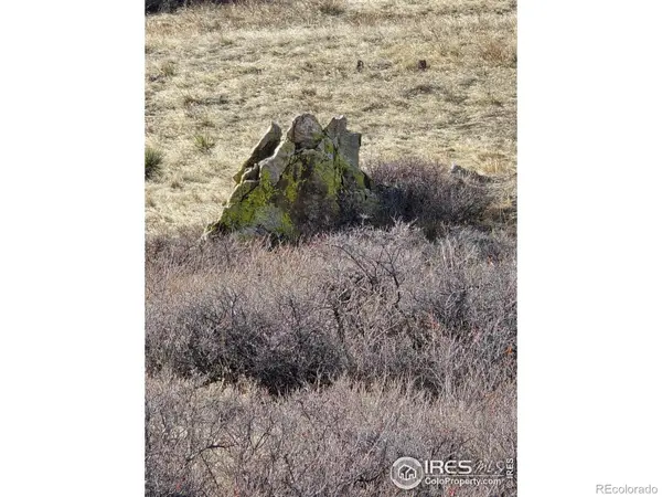 0 Beverly DR, Berthoud, CO 80513