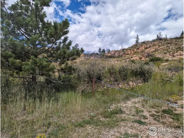 1737 Eiger RD, Livermore, CO 80536