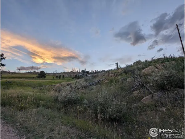 1737 Eiger RD, Livermore, CO 80536