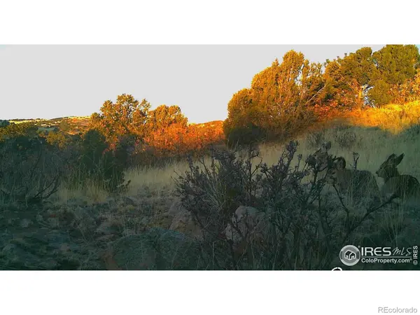0 Cap Rock Roads #4, Canon City, CO 81212