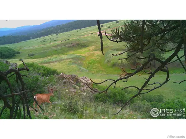 0 Cap Rock Roads #4, Canon City, CO 81212
