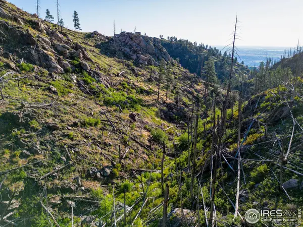 100 Canyon Gulch RD, Bellvue, CO 80512