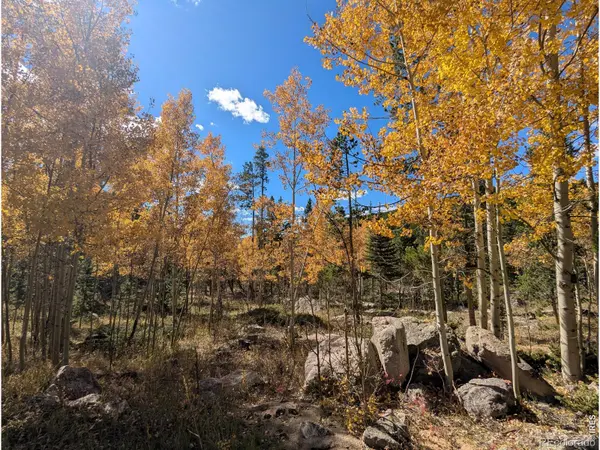 2182 Osage TRL, Red Feather Lakes, CO 80545