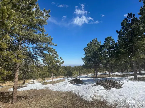 783 Dixon RD, Boulder, CO 80302