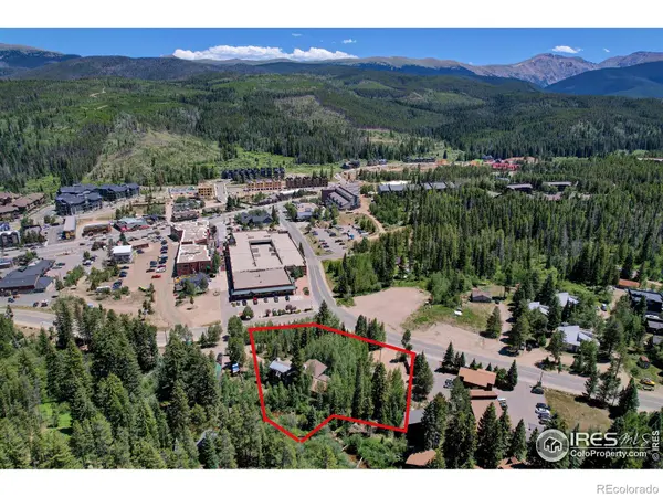 185 Vasquez RD, Winter Park, CO 80482