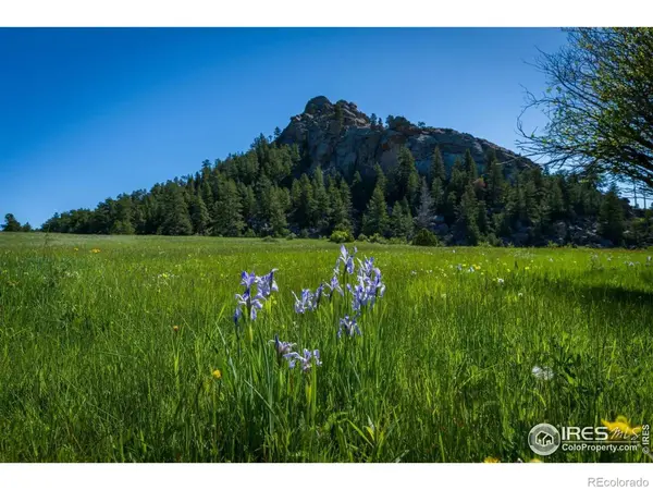 Mountain Pony RD, Livermore, CO 80536