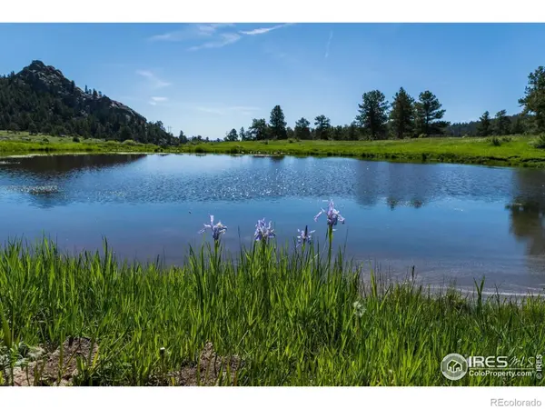 Shoshana Ranch RD, Livermore, CO 80536
