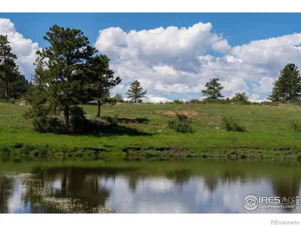 Shoshana Ranch RD, Livermore, CO 80536