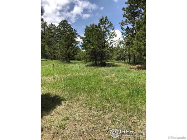 442 Quarter Circle LN, Evergreen, CO 80439