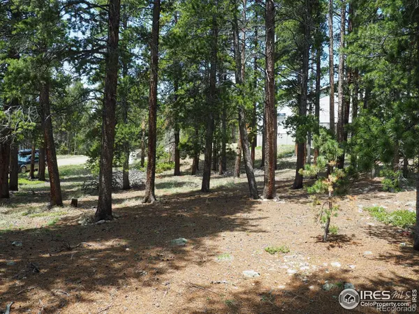 0 Caesar RD, Black Hawk, CO 80422