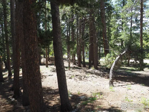 0 Caesar RD, Black Hawk, CO 80422
