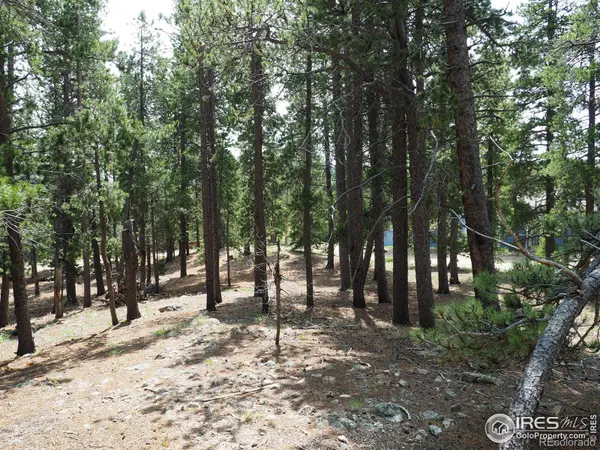 0 Caesar RD, Black Hawk, CO 80422