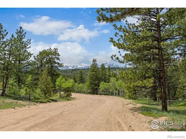 398 Overland DR, Ward, CO 80481