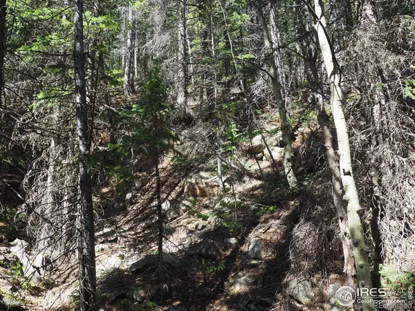 0 Gamble Gulch, Black Hawk, CO 80422