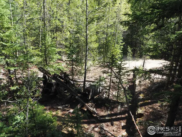 0 Gamble Gulch, Black Hawk, CO 80422
