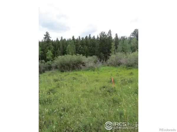 0 Peak to Peak HWY, Nederland, CO 80466