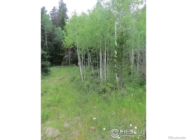 0 Peak to Peak HWY, Nederland, CO 80466