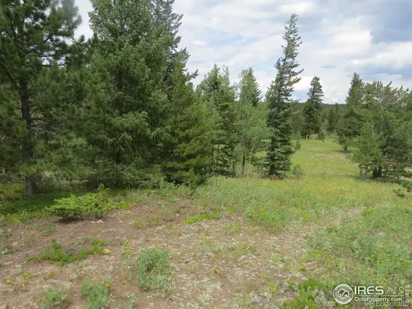 0 Peak to Peak HWY, Nederland, CO 80466