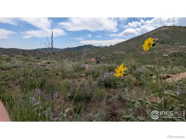 1324 Meadow Mountain DR, Livermore, CO 80536