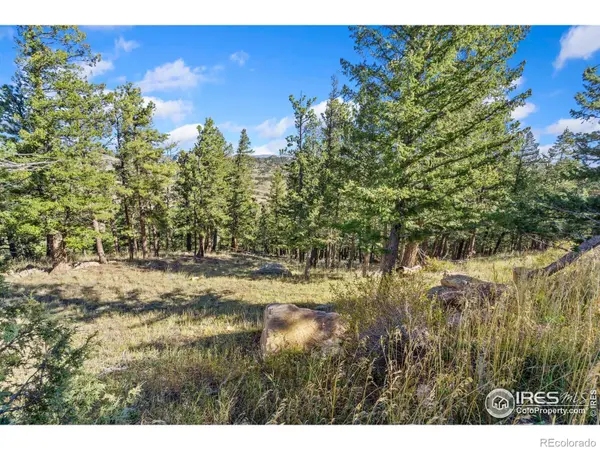 90 Sunlight CIR, Livermore, CO 80536