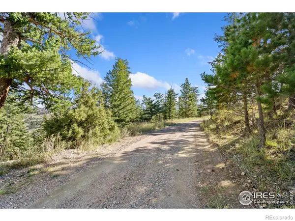 90 Sunlight CIR, Livermore, CO 80536