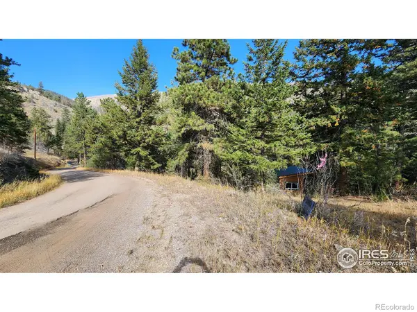 84 Copper Hill RD, Glen Haven, CO 80532