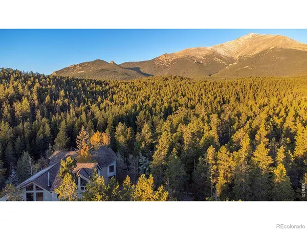1997 Big Owl RD, Allenspark, CO 80510