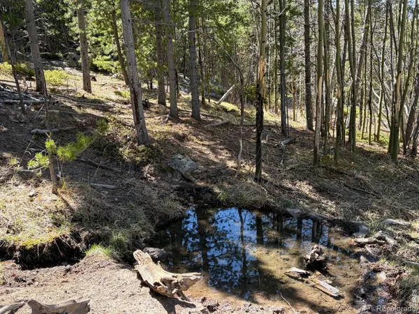 2174 Bear Gulch RD, Red Feather Lakes, CO 80545