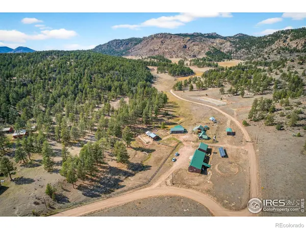 2848 Slater Creek RD, Florissant, CO 80816