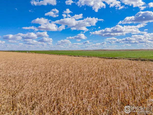 14805 County Road 12, Fort Morgan, CO 80701
