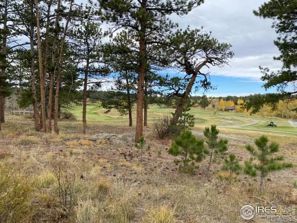 0 Northwoods DR, Red Feather Lakes, CO 80545