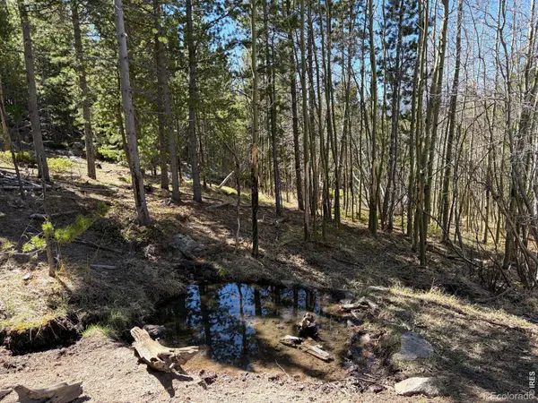 0 Bear Gulch RD, Red Feather Lakes, CO 80545
