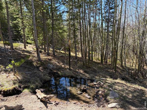0 Bear Gulch RD, Red Feather Lakes, CO 80545