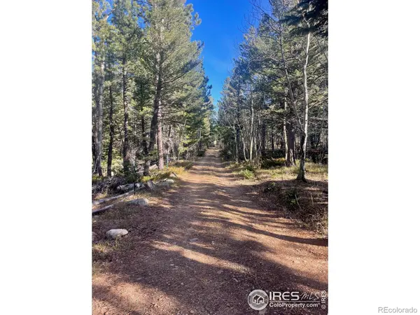 399 N Skinner RD, Allenspark, CO 80510
