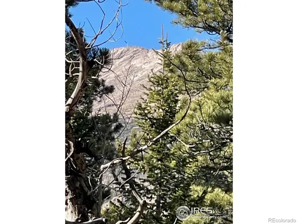 399 N Skinner RD, Allenspark, CO 80510