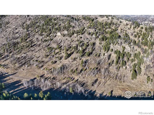 Dunraven Glade RD, Glen Haven, CO 80532