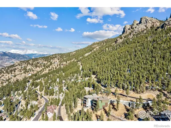 1475 Saint Moritz TRL, Estes Park, CO 80517