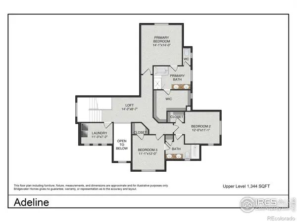5836 Gianna DR, Timnath, CO 80547