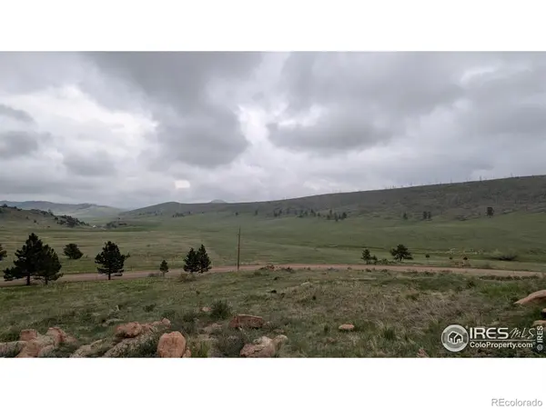 1191 Eiger RD, Livermore, CO 80536