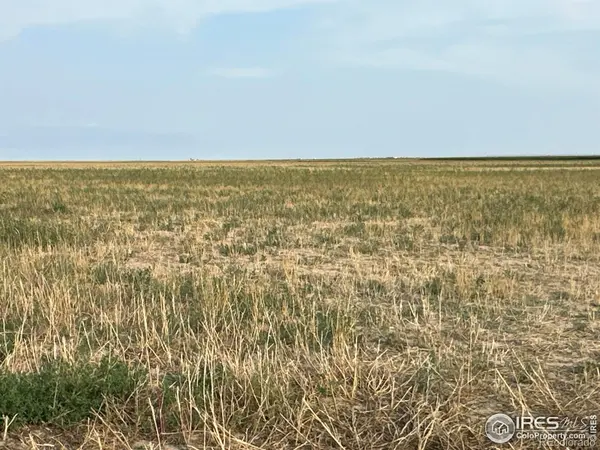10 PP RD, Seibert, CO 80834
