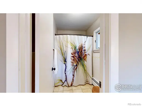 141 Courtney LN, Estes Park, CO 80517