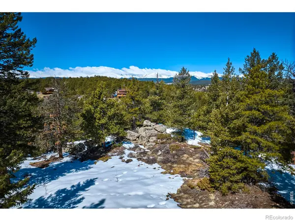 815 Cougar RUN, Nederland, CO 80466