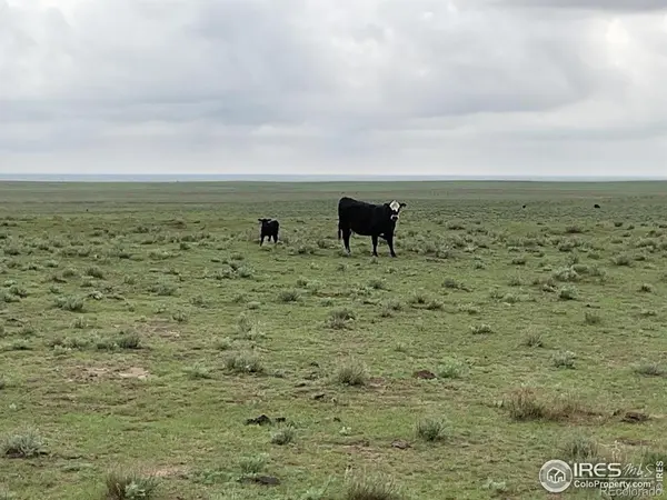 0 Hwy, Kit Carson, CO 80825