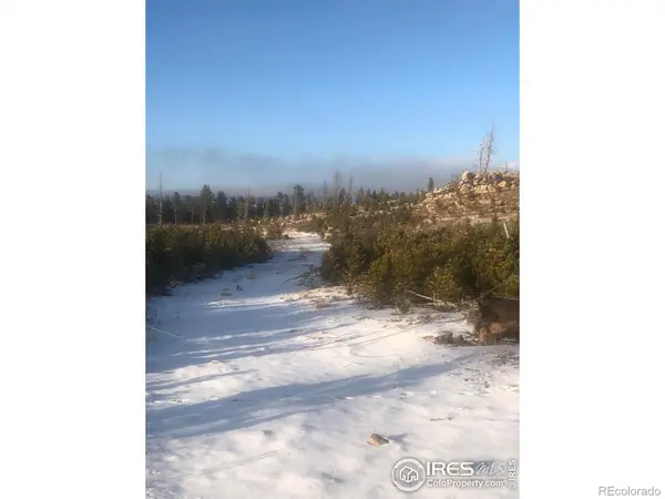 2315 Ridge RD, Nederland, CO 80466