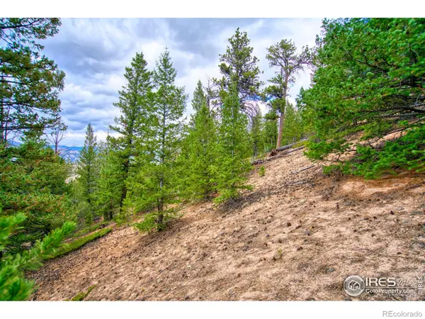 0 Windham DR, Estes Park, CO 80517