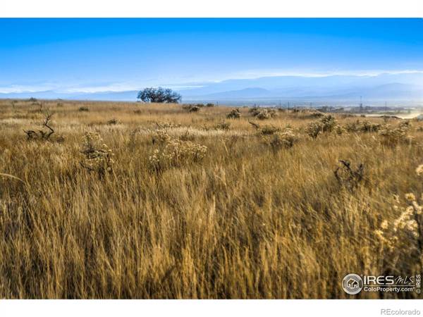 7895 County Road 84, Fort Collins, CO 80524
